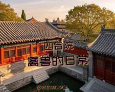 小妖的金色城堡在线观看全集