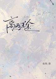 离雨迷途[破镜重圆]