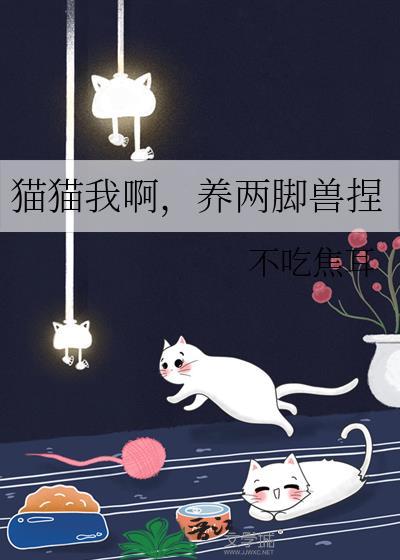 猫猫我啊,养两脚兽捏